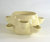 Strawberry Jar Pot Planter Ceramic Eggnog
